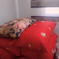 چند عدد بالش