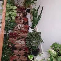 منزل نو ساخت با تمام امکانات|اجارهٔ کوتاه‌مدت آپارتمان و سوئیت|اردبیل, |دیوار