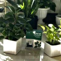 بهترین وجامع ترین کود برای گیاهان آپارتمانی|گل و گیاه طبیعی|ورامین, ورامین|دیوار