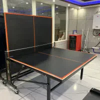 miz پینگ پنگ لوازم تفریحی ویلا باغی حیاط فضای باژ|ورزشهای توپی|سیرجان, |دیوار