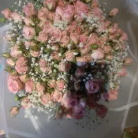 دسته گل رز مینیاتوری صورتی|گل و گیاه طبیعی|قزوین, |دیوار