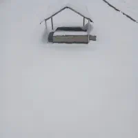 همخونه