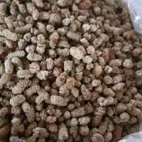 مقداری توت خشک  سه شیره و اوچه و کشمش|خوردنی و آشامیدنی|اصفهان, باغ دریاچه|دیوار
