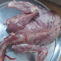 بوقلمون بیوتی