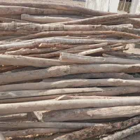 چوب|مصالح و تجهیزات ساختمان|بسطام, |دیوار