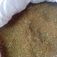 بذر یونجه محلی