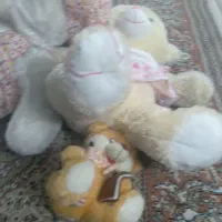 عروسکای زیبا