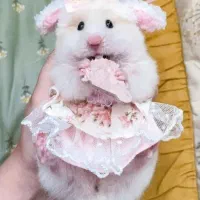 کوچکترین حیوان خانگی همستر بندانگشتی همه رنگ