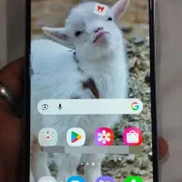 گوشی A05s|موبایل|زابل, |دیوار