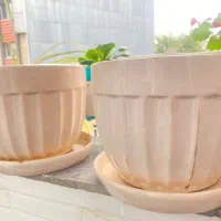 گلدان سرامیکی|گل و گیاه طبیعی|رشت, گلسار|دیوار