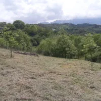 فروش زمین|فروش زمین و ملک کلنگی|فریم, |دیوار