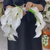 گل عروس|گل و گیاه طبیعی|خمینیشهر, |دیوار