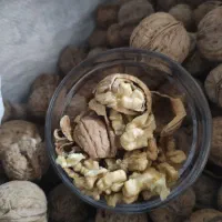 گردو درجه یک مناطق سرد سیرکوهستانی شاه جهان|حراج|تهران, خلیج فارس|دیوار