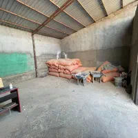 دامداری نیمه صنعتی / پرواربندی