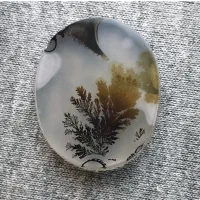 شجر قاین کلکسیونی