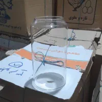 تنگ شیشه ای|ماهی|قم, باغ کرباسی|دیوار