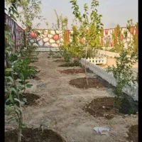 باغچه-300-متری-چار-دیواری-شده