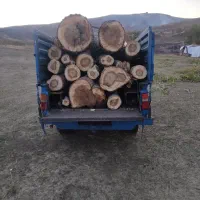 قلمه /بید/گردو/چوب کهنه/ضایعات چوب