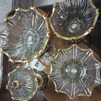 ظروف پذیرایی