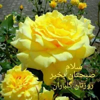 سلام من دنبال ۴نفر مسافر برای کربلا هستم