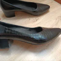 کفش نو|کیف، کفش، کمربند|کرج, خرمدشت|دیوار