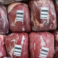 گوشت منجمد مغولی