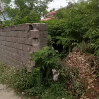 فروش فوری زمین ۲۰۰ متری تالش ( ترشابر )|فروش زمین و ملک کلنگی|تالش, هشتپر|دیوار