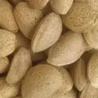 10 کیلو بادام تلخ کاملآ ارگانیک