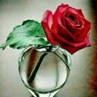 کتاب رفع مشکلات به صورت ساده