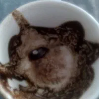 شمعتراپی و فال قهوه و تاروت|خدمات پذیرایی، مراسم|زاهدان, |دیوار