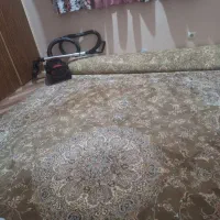 دو عددقالی در حد نو رنگ نسکافه ای