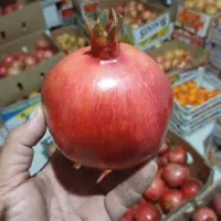 انار|عمدهفروشی|لوشان, |دیوار