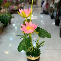 «گل نیلوفر نو» به قیمت خرید|گل مصنوعی|زنجان, |دیوار