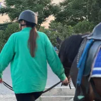 آموزش سوارکاری|اسب و تجهیزات اسب‌سواری|رباط‌کریم, رباط‌کریم|دیوار