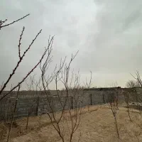 زمین