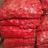 فروش سیب زمینی و پیاز