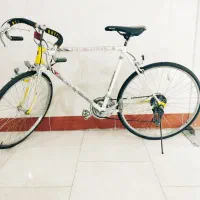 دوچرخه 26دنده ای کورسی عتیقه در حد