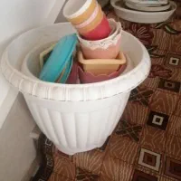 گلدون کوچک بزرگ طبیعی