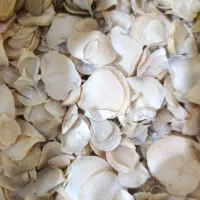 موسیرکوهی درجه 1