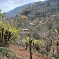 ویلا نمیه کاردر شمال رشت شهرستان شفت|فروش خانه و ویلا|احمدسرگوراب, |دیوار