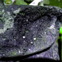 فروش،شهاب سنگ مهره ساسانی .شجر ۲کیلویی قاعن