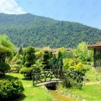 طبیعت،امشب