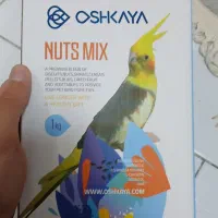 اوشکایا آجیلی عروس هلندی