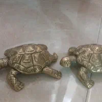 دوعدد لاکپشت برنز سنگین وزن