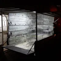 قفسه مغازه|فروشگاه و مغازه|اقبالیه, |دیوار