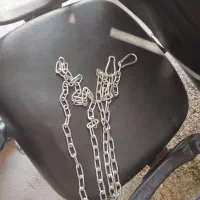 قلاده سگ