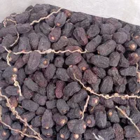 خرید ضایعات خرما کده