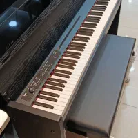 پیانو کرگ lp 380