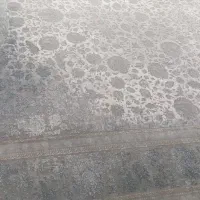 قالی کاملا سالم و نو|فرش|شهرضا, |دیوار