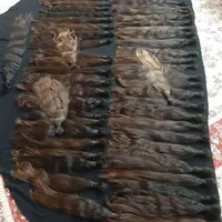 تنها خریدار اصلی مو